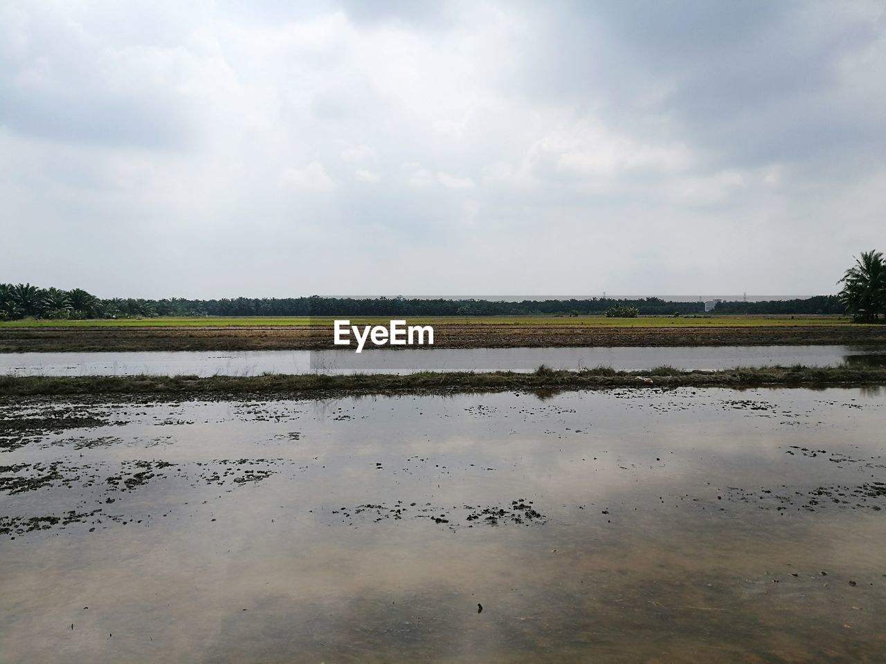 SCENIC VIEW OF FARMS AGAINST SKY