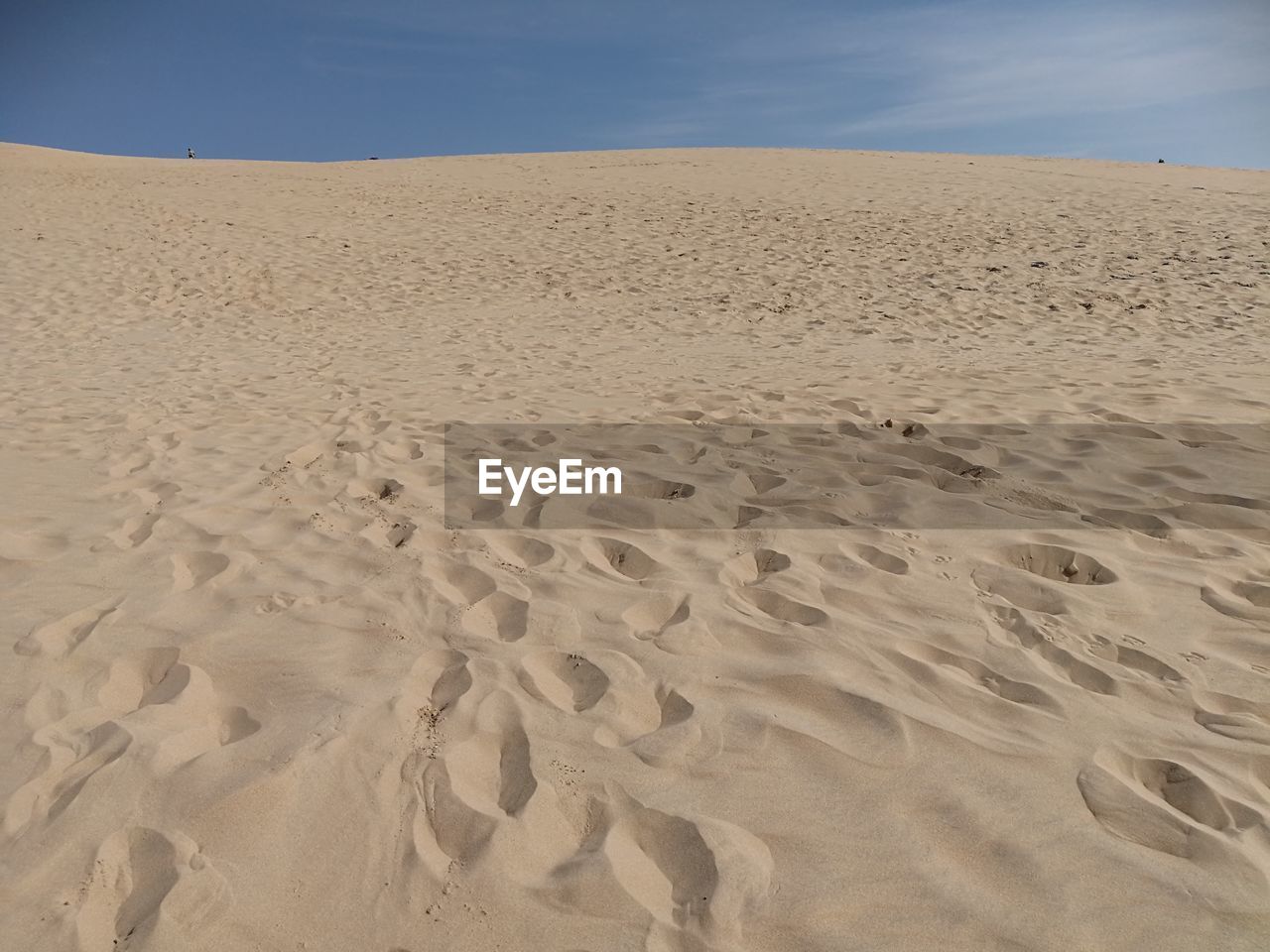 SAND DUNES IN THE BEACH