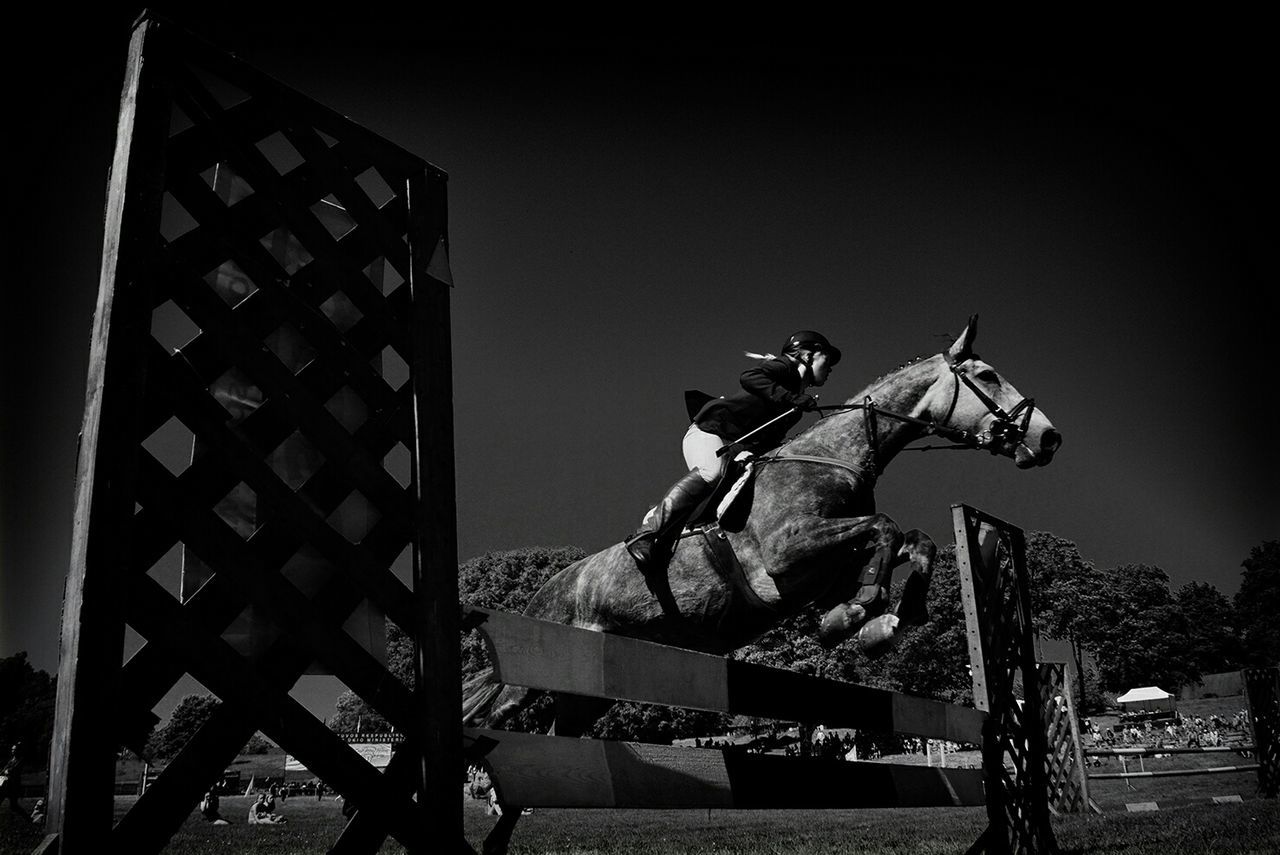 Woman riding horse over hurdle