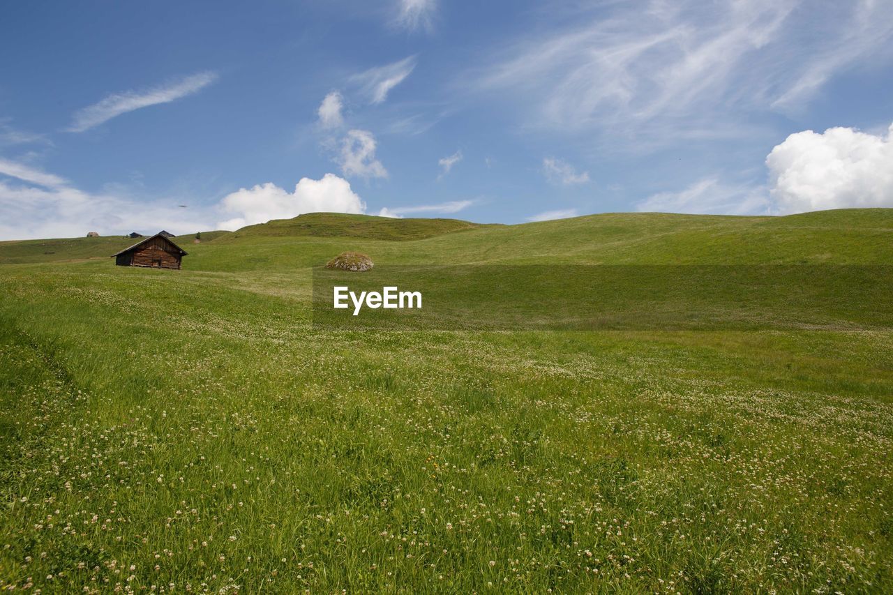 HORSES ON FIELD BY MOUNTAIN AGAINST SKY