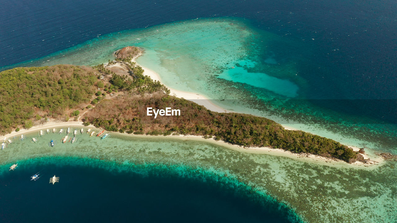 Aerial view sandy beach on tropical island with palm trees and clear blue water. malcapuya