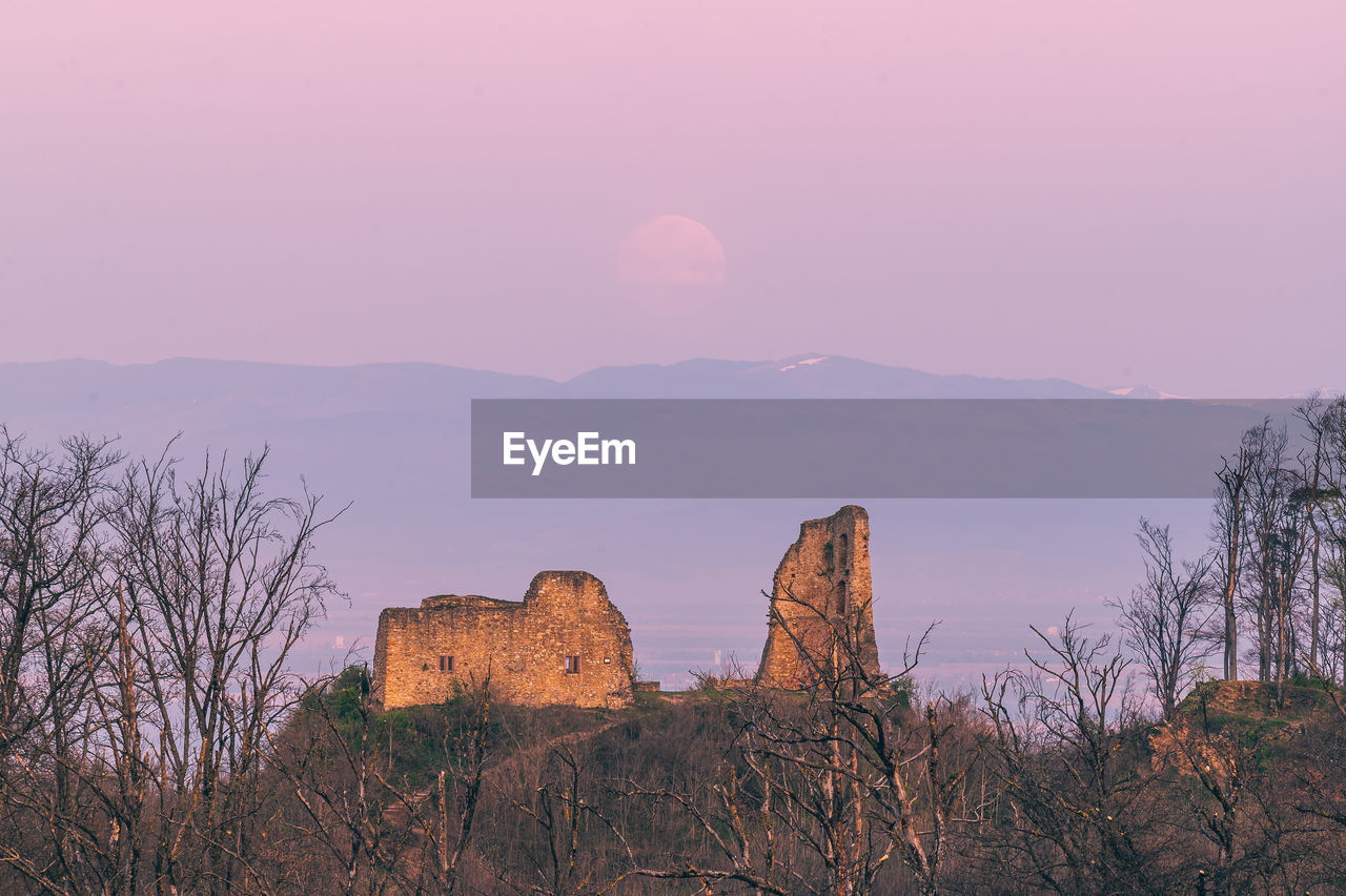 View of trees on mountain during sunset