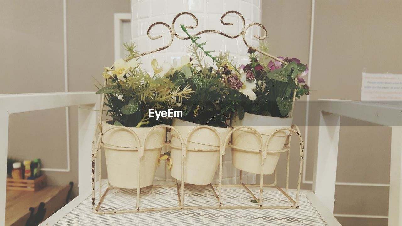 POTTED PLANTS ON FLOOR AT HOME