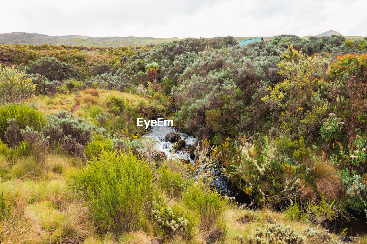 Scenic view of a river in the panoramic mountain landscapes of mount kenya national park, kenya