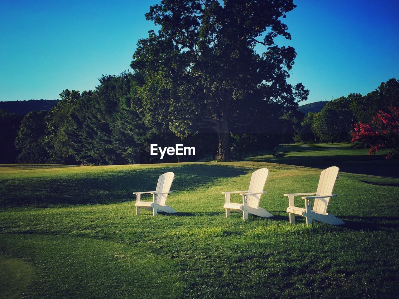 White chairs on grassy field against blue sky
