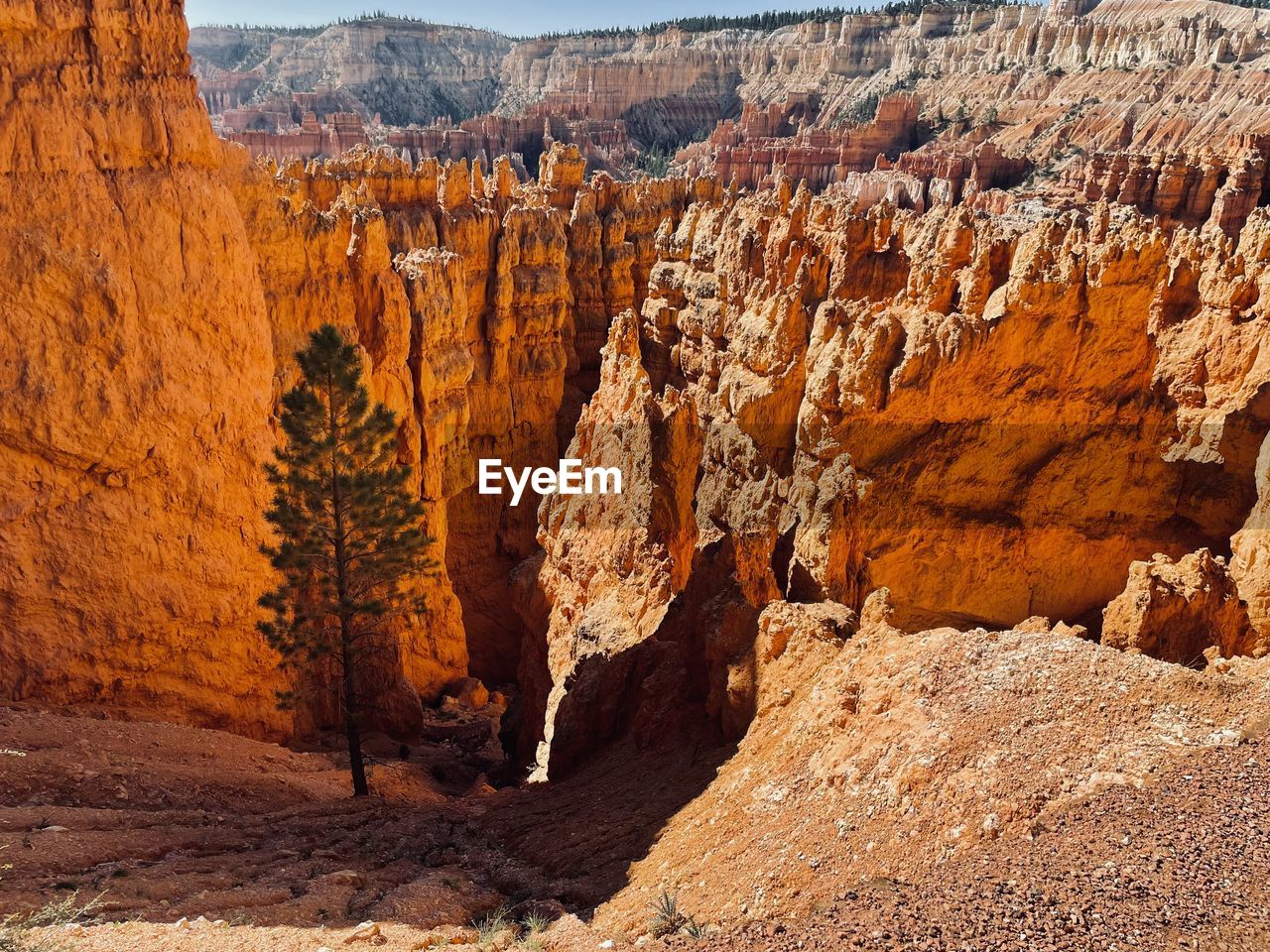 Red rocks bryce canyon