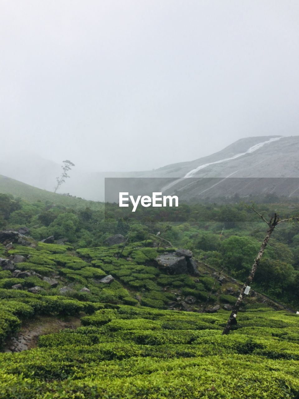 Scenic view of mountain against sky during foggy weather