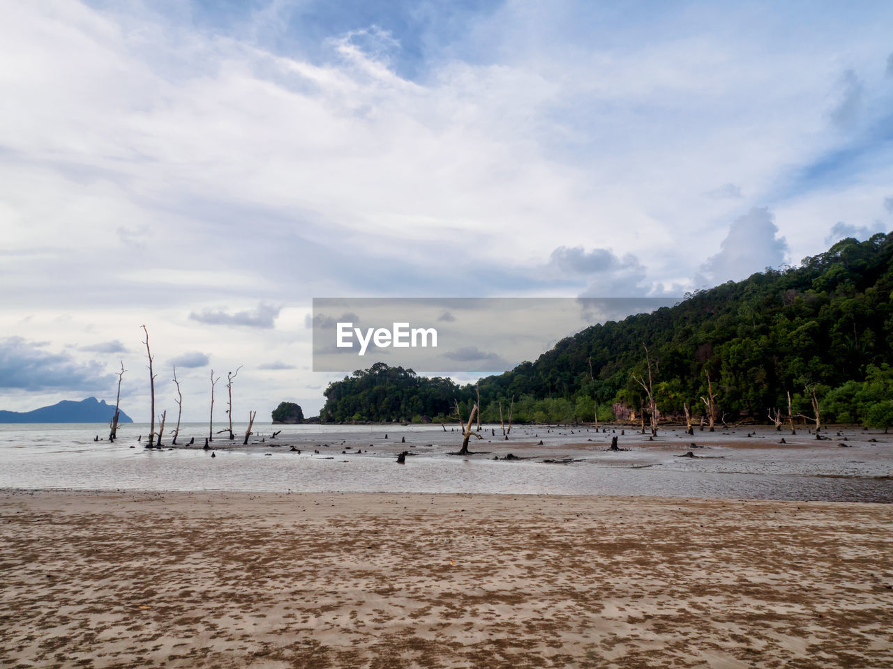 SCENIC VIEW OF BEACH