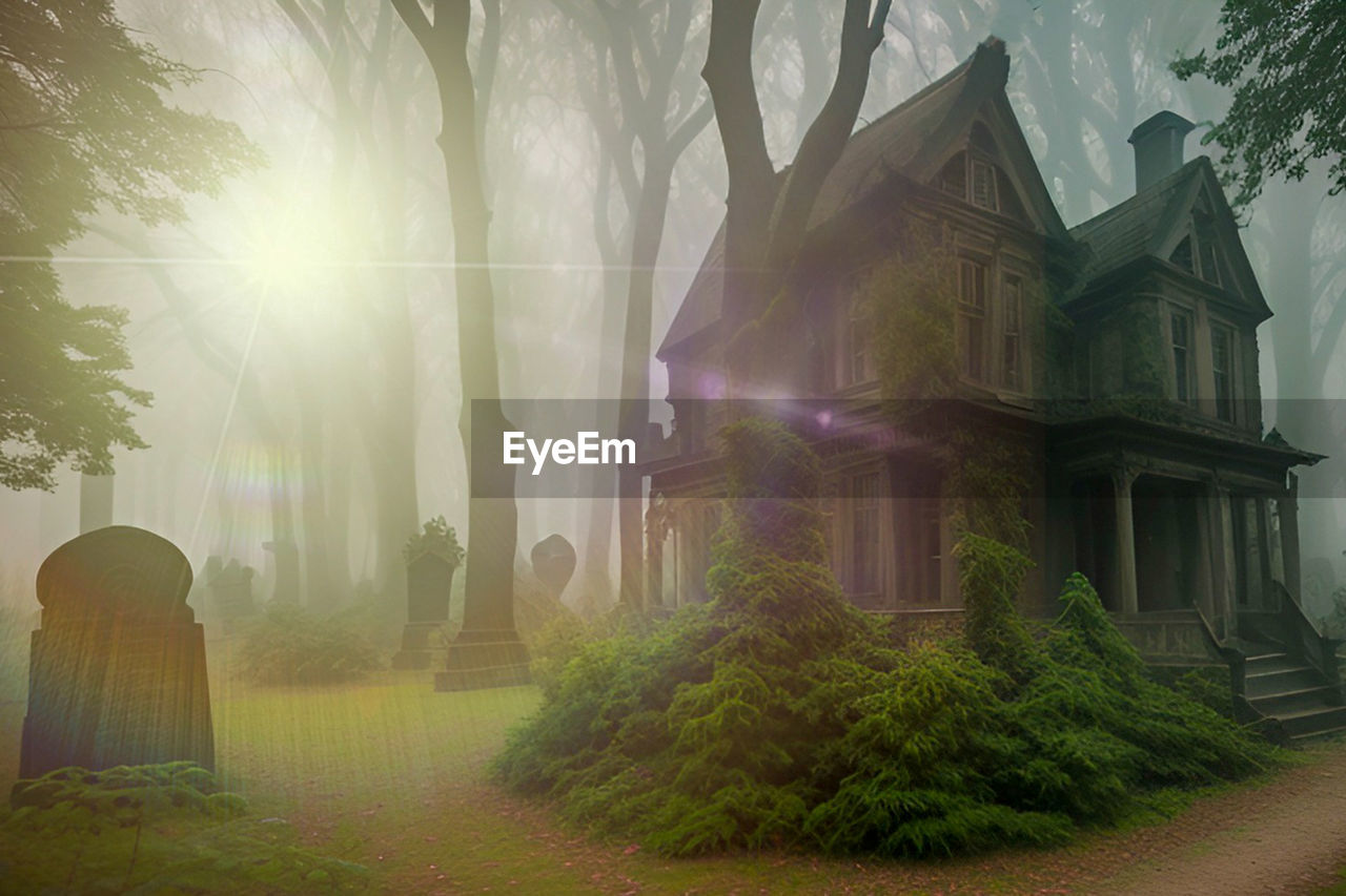 fog, plant, tree, architecture, sunlight, nature, sunbeam, mist, built structure, light, religion, building, morning, building exterior, sun, screenshot, no people, environment, beauty in nature, spirituality, outdoors, landscape, land, sky, belief, tranquility, twilight, lens flare, darkness, history, spooky, grass, house, place of worship, mystery