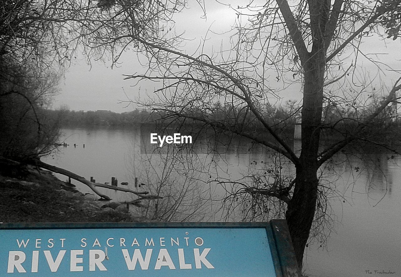 VIEW OF BARE TREE BY LAKE