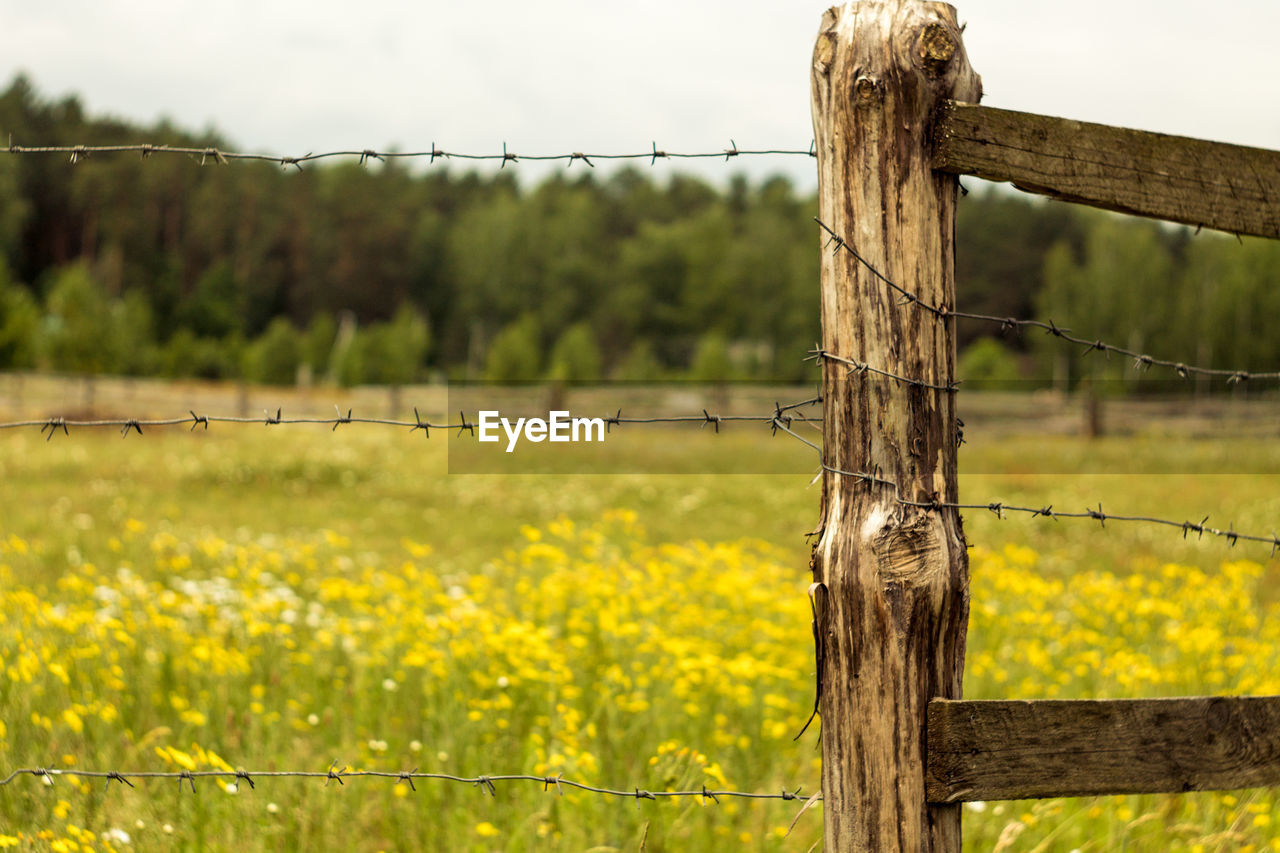 Close-up of barbed wire on field against sky