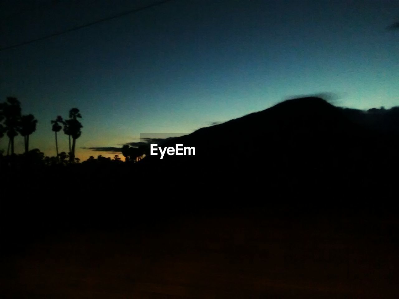 SILHOUETTE OF TREES AGAINST SKY DURING SUNSET