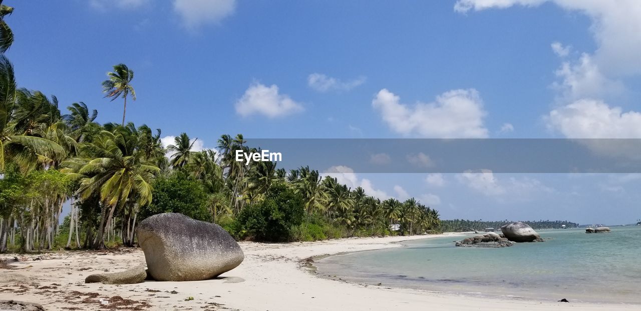 PALM TREES ON BEACH AGAINST SKY