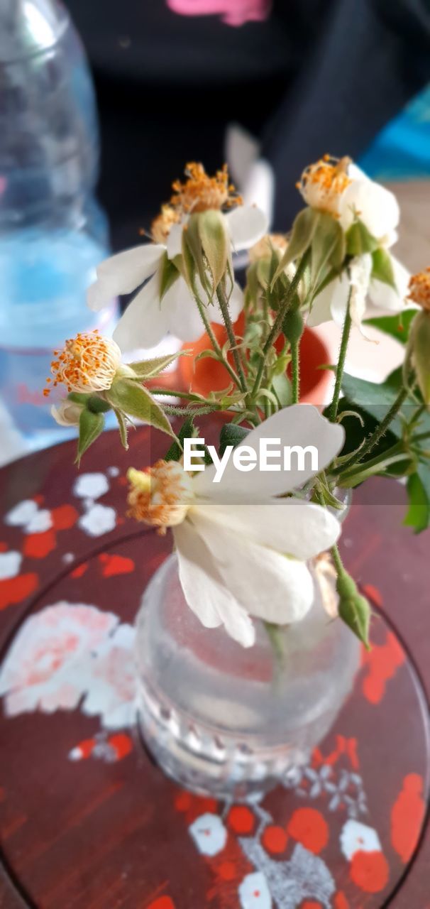 flower, flowering plant, plant, floristry, beauty in nature, nature, freshness, bouquet, floral design, close-up, vase, no people, centrepiece, flower arrangement, decoration, focus on foreground, fragility, flower head, indoors, arrangement, glass, selective focus, spring, white, petal