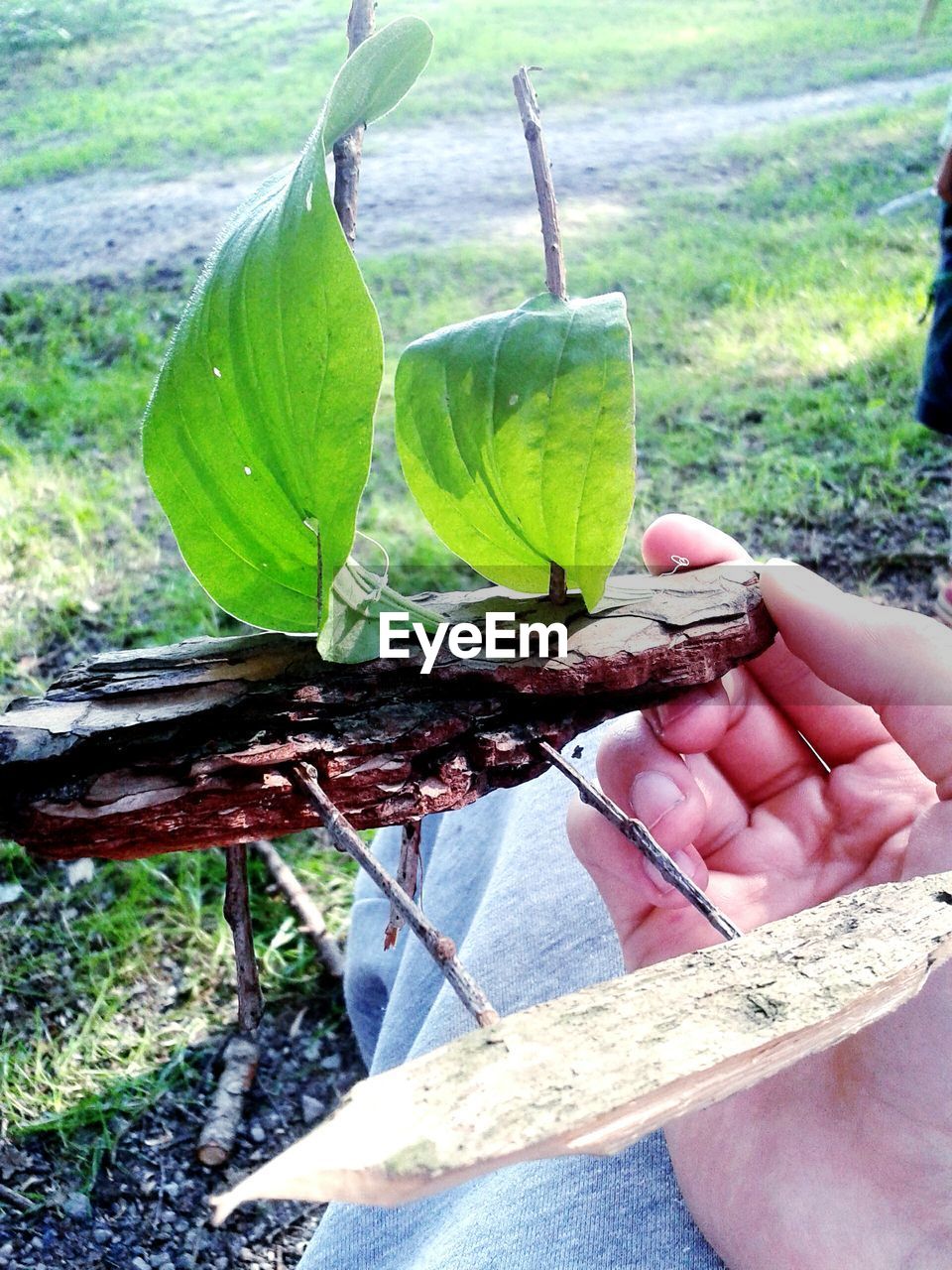 CROPPED IMAGE OF HAND HOLDING LEAF