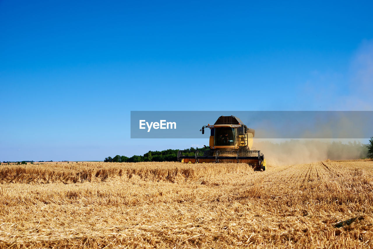 Combine harvester harvesting golden ripe wheat in agricultural field