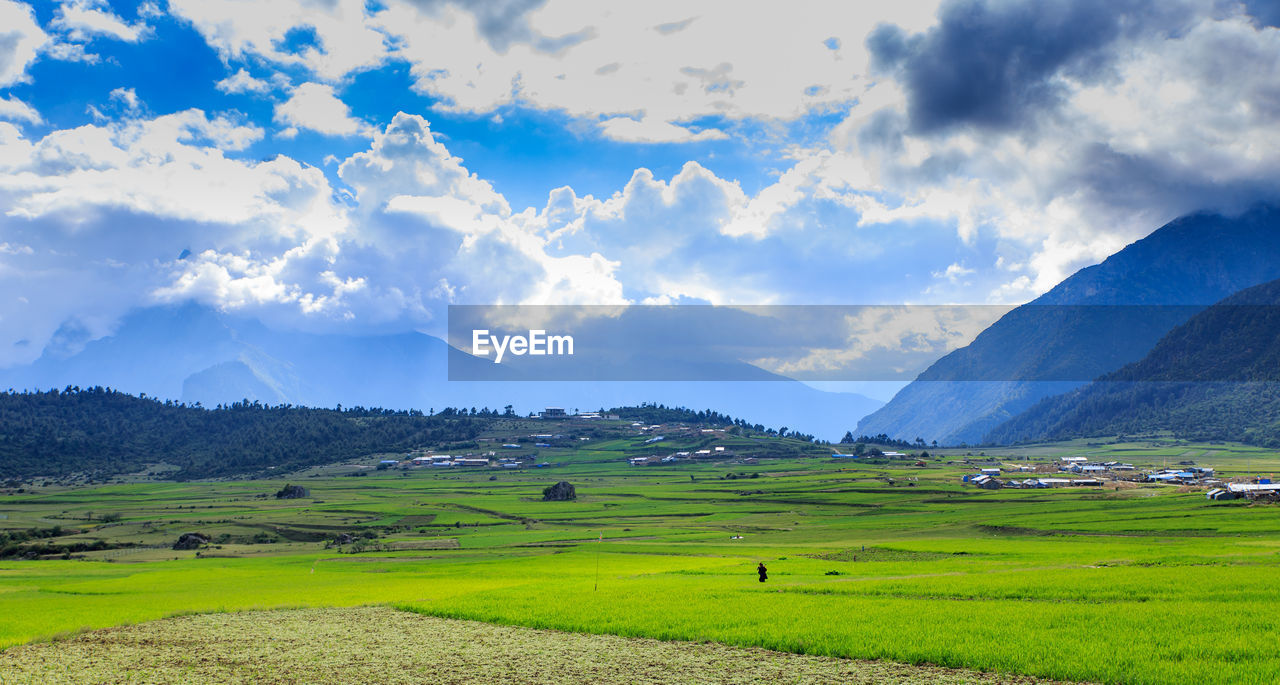 SCENIC VIEW OF AGRICULTURAL FIELD AND MOUNTAINS