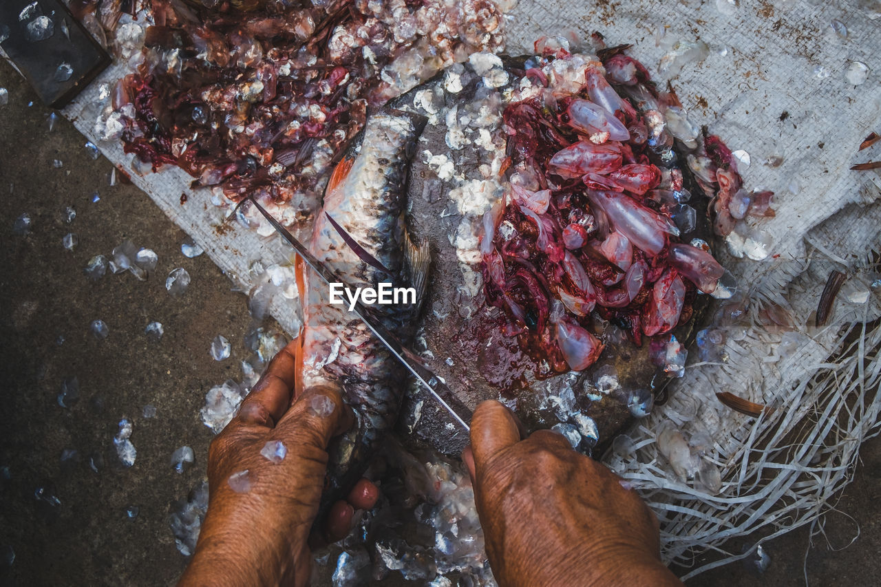 High angle view of hand holding food