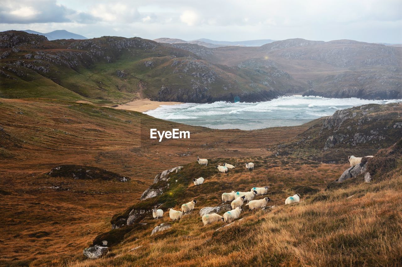 SCENIC VIEW OF LAND AGAINST SKY