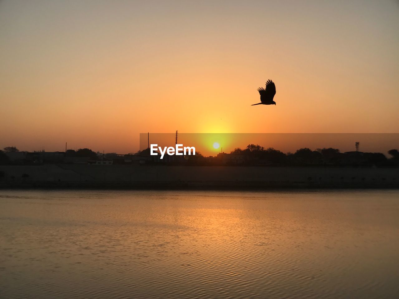 SILHOUETTE BIRD FLYING OVER LAKE AGAINST SKY AT SUNSET