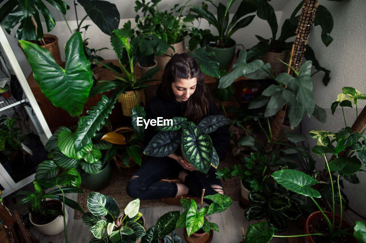 Portrait of young woman standing amidst plants