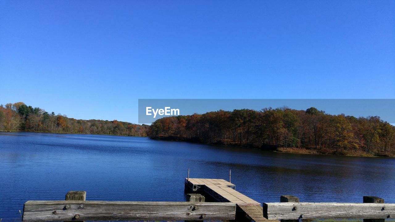 SCENIC VIEW OF TREES AGAINST CLEAR BLUE SKY