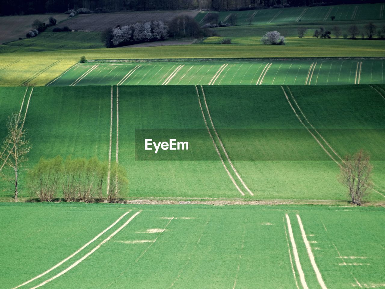 High angle view of green landscape with tracks 