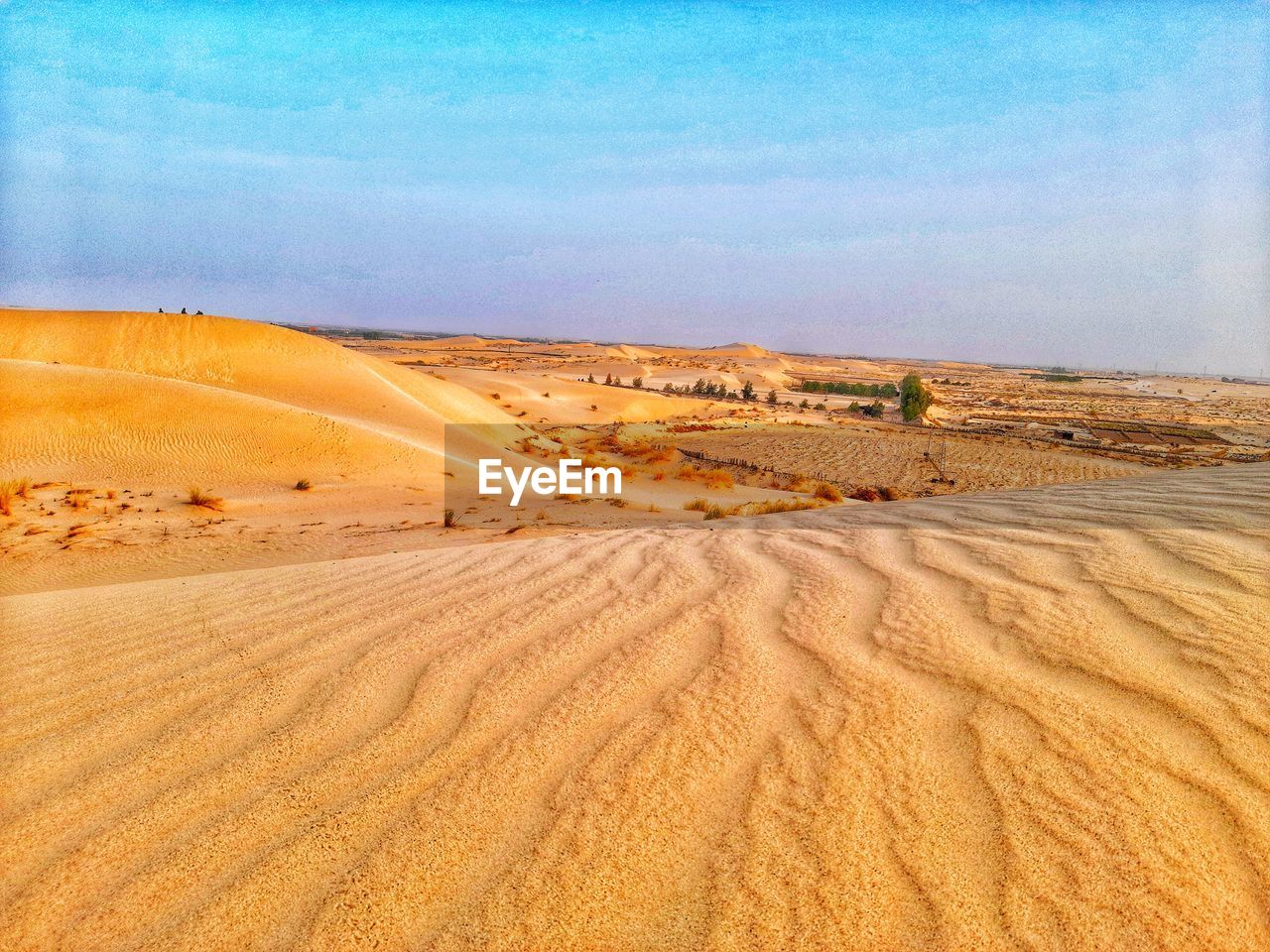 SAND DUNES IN DESERT