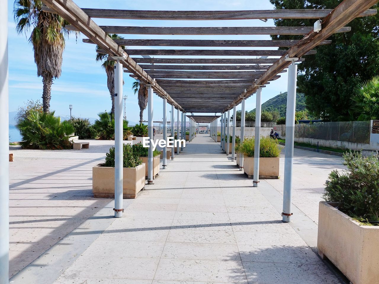 architecture, walkway, built structure, plant, footpath, tree, nature, the way forward, day, sunlight, diminishing perspective, no people, tropical climate, outdoors, palm tree, pedestrian walkway, shadow, building, estate, building exterior, sky, pergola