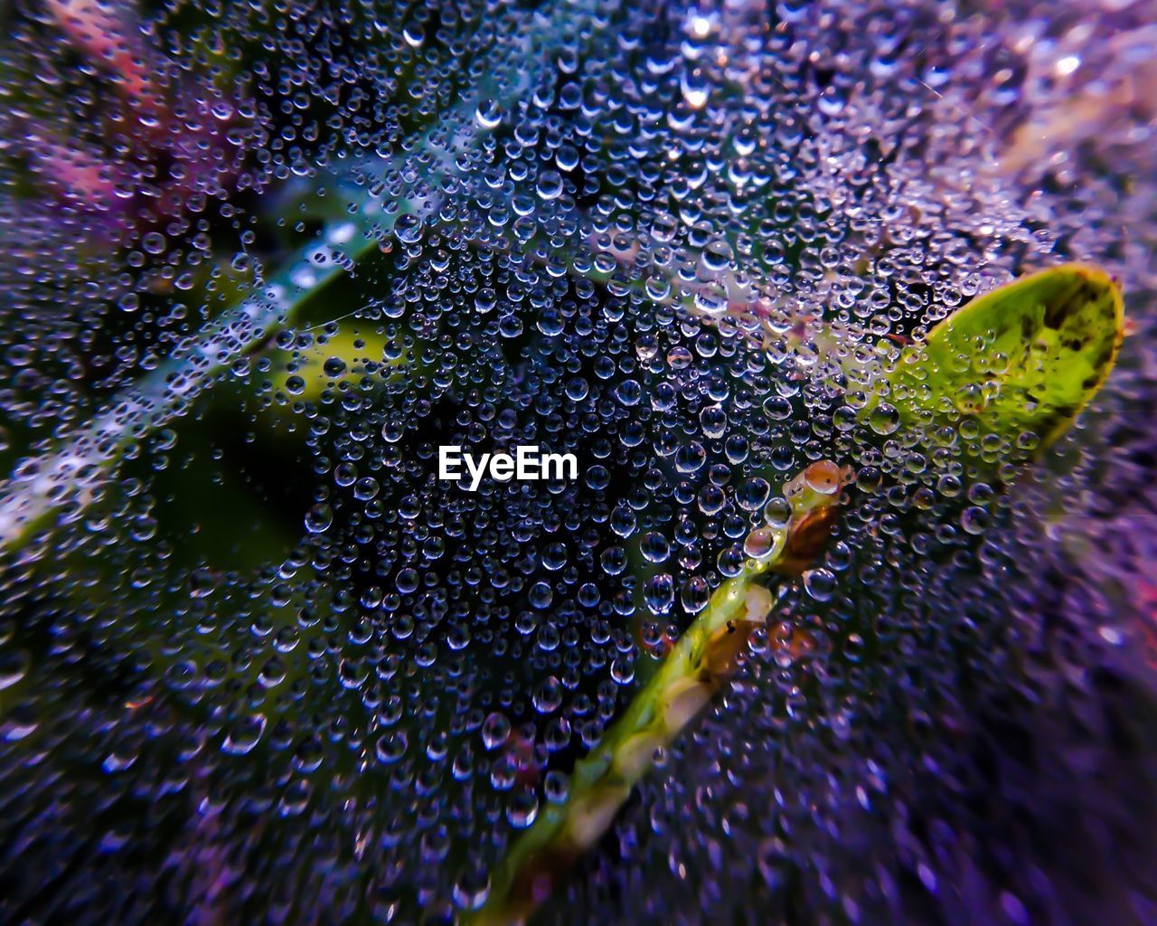 Full frame shot of glass with dew drops