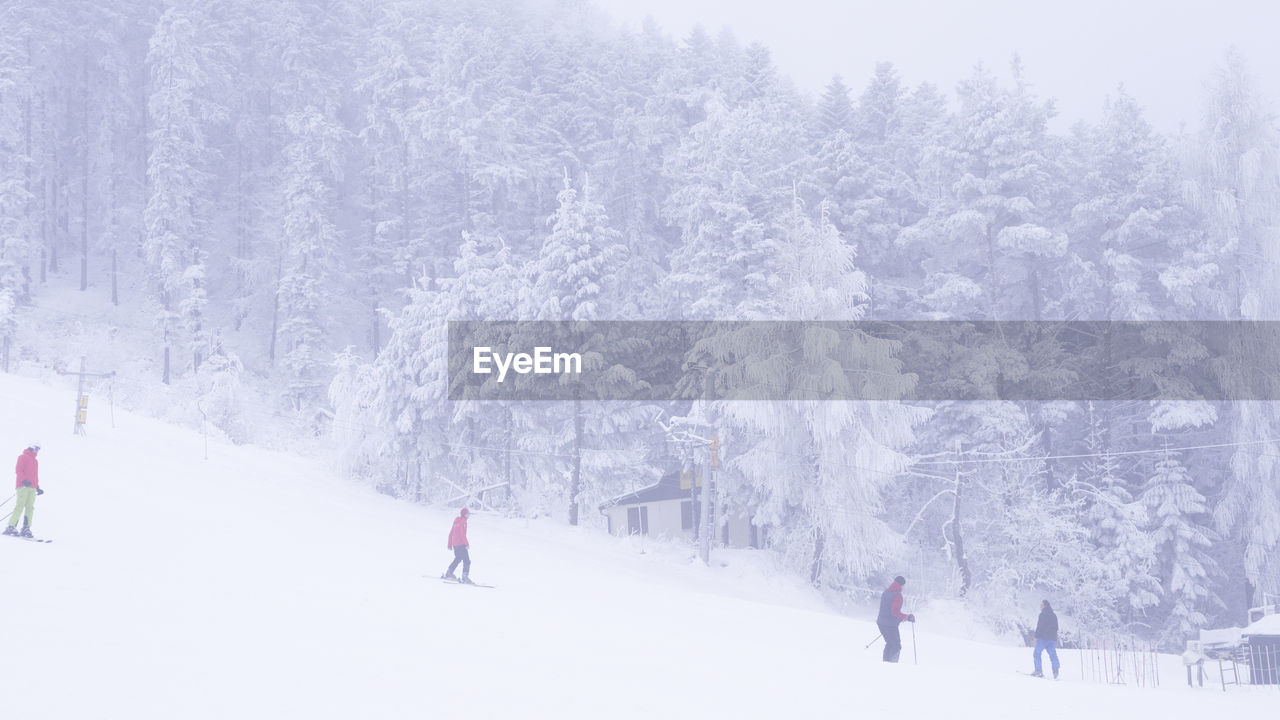 People skiing on snow covered landscape