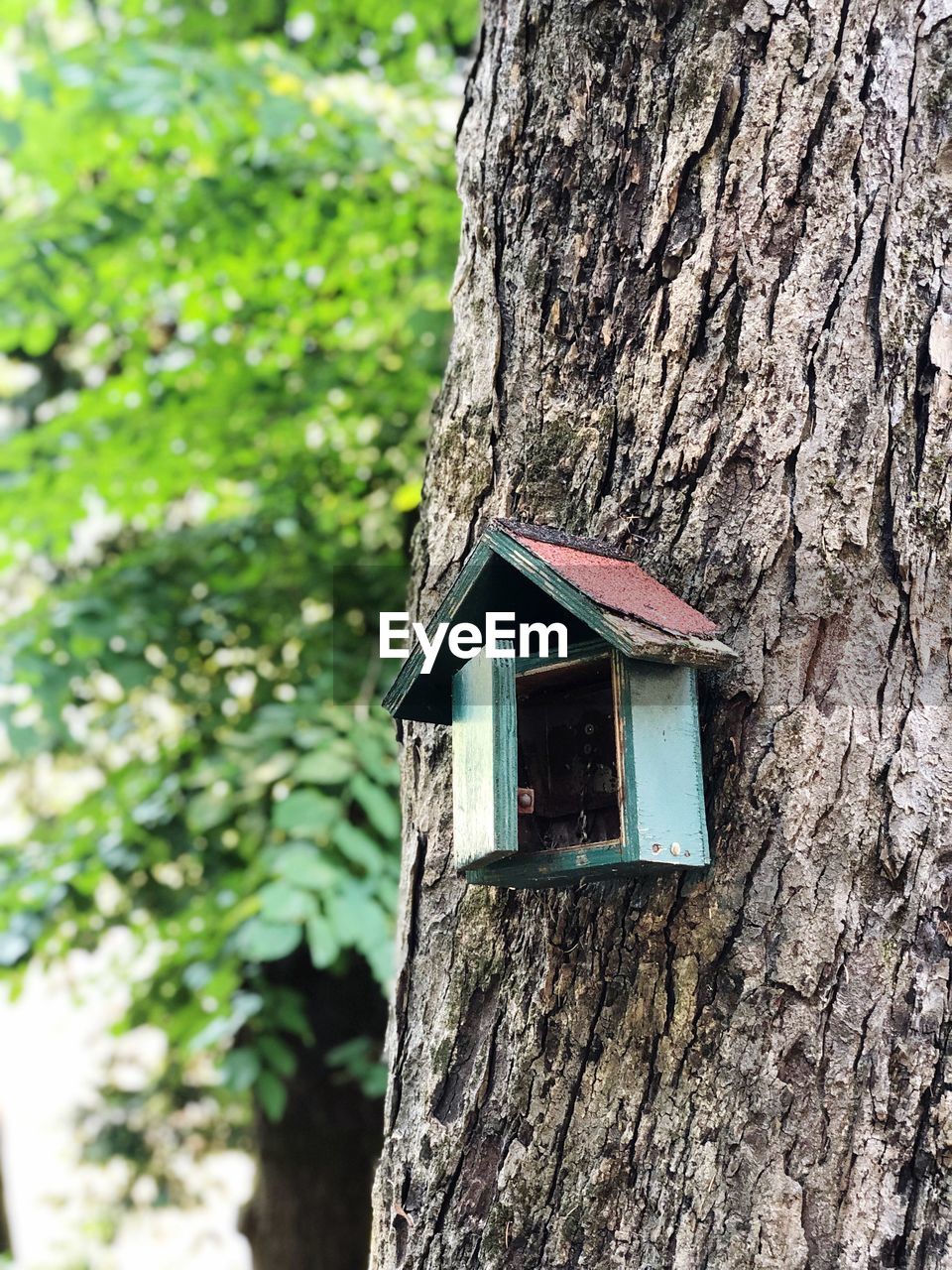 LOW ANGLE VIEW OF BIRDHOUSE AGAINST TREE TRUNK