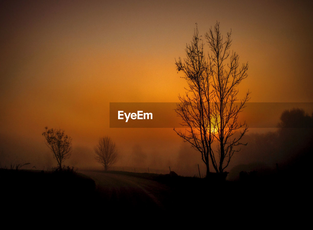 SILHOUETTE TREES ON FIELD AGAINST ORANGE SKY