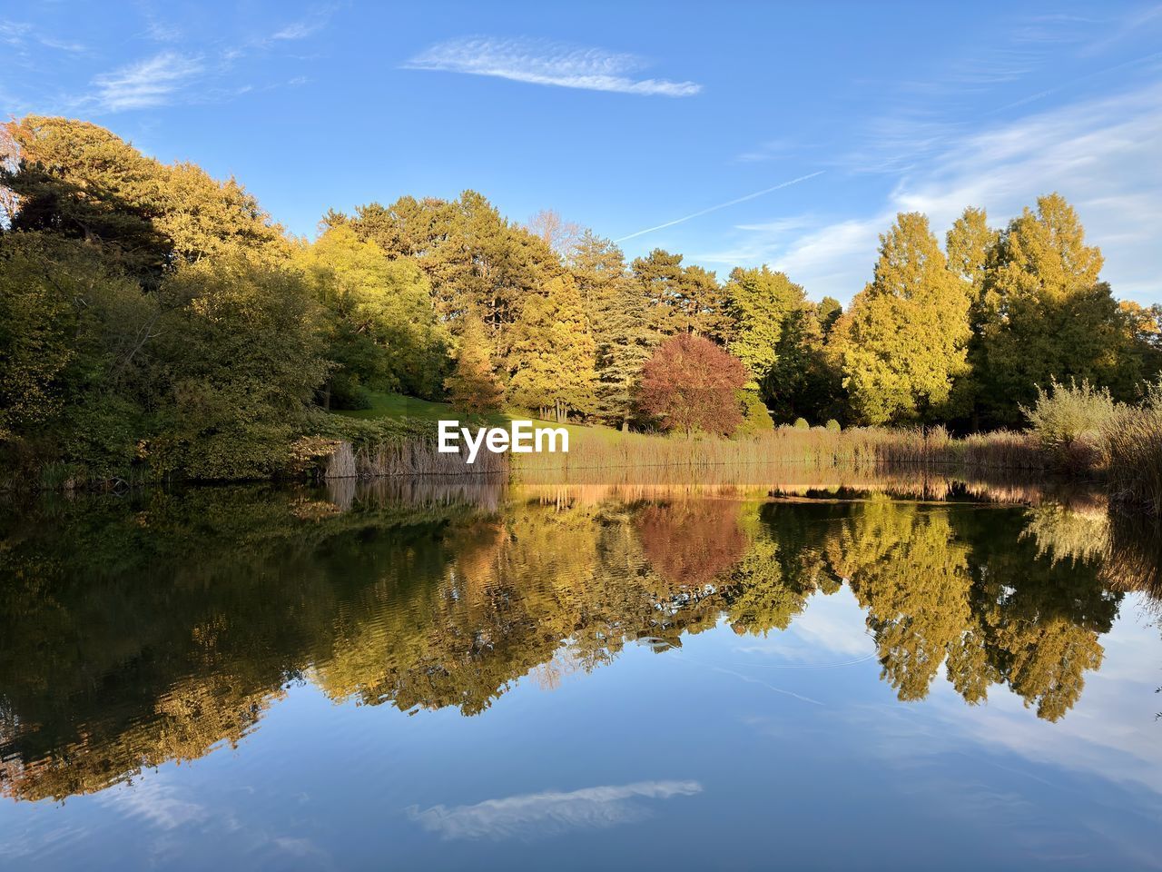 reflection, water, autumn, tree, nature, lake, sky, plant, beauty in nature, tranquility, scenics - nature, leaf, tranquil scene, landscape, no people, environment, blue, cloud, outdoors, body of water, non-urban scene, reflection lake, travel destinations, day, idyllic, forest, land, reservoir, standing water