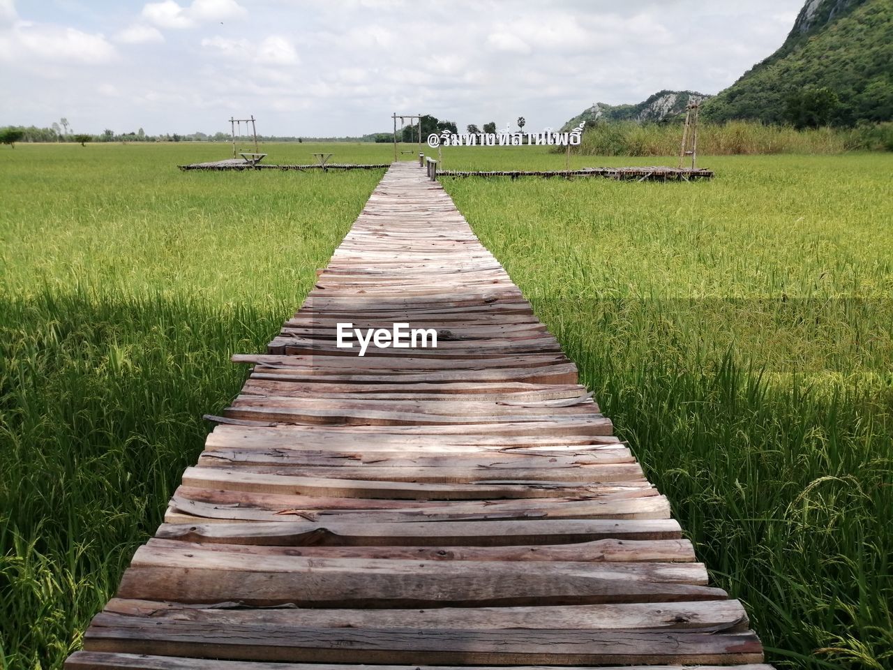 Surface level of dirt road on field against sky