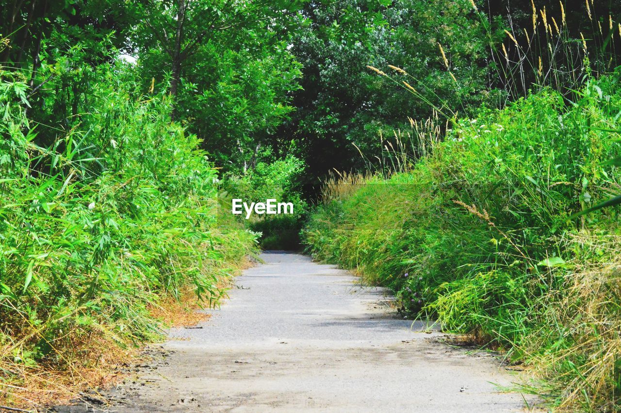Scenic view of landscape