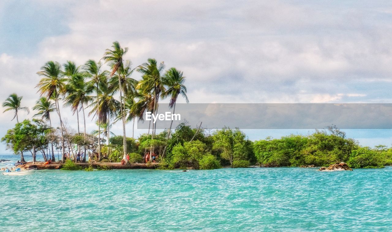 PALM TREES BY SWIMMING POOL AGAINST SEA