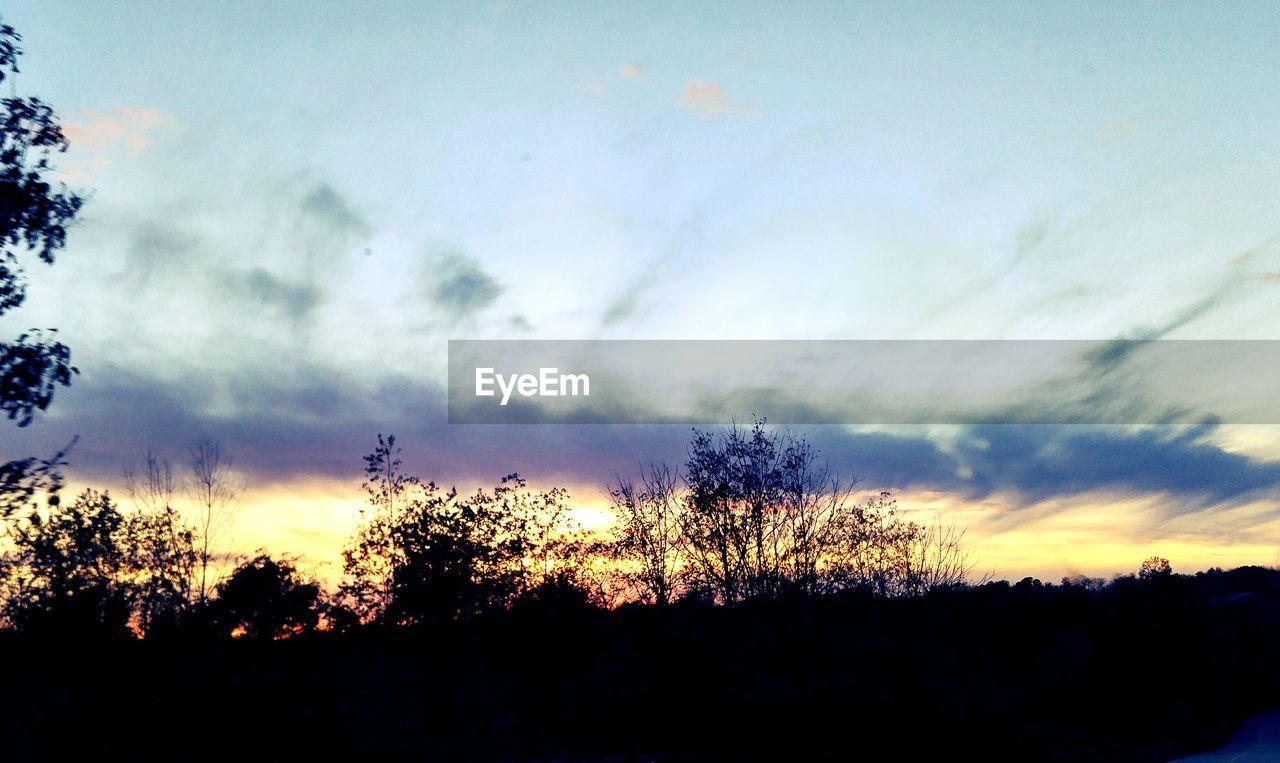 SCENIC VIEW OF SILHOUETTE TREES AGAINST SKY DURING SUNSET