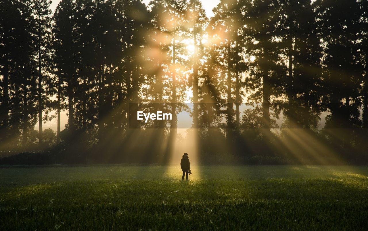 Silhouette man standing in front of sunbeam streaming through trees on field