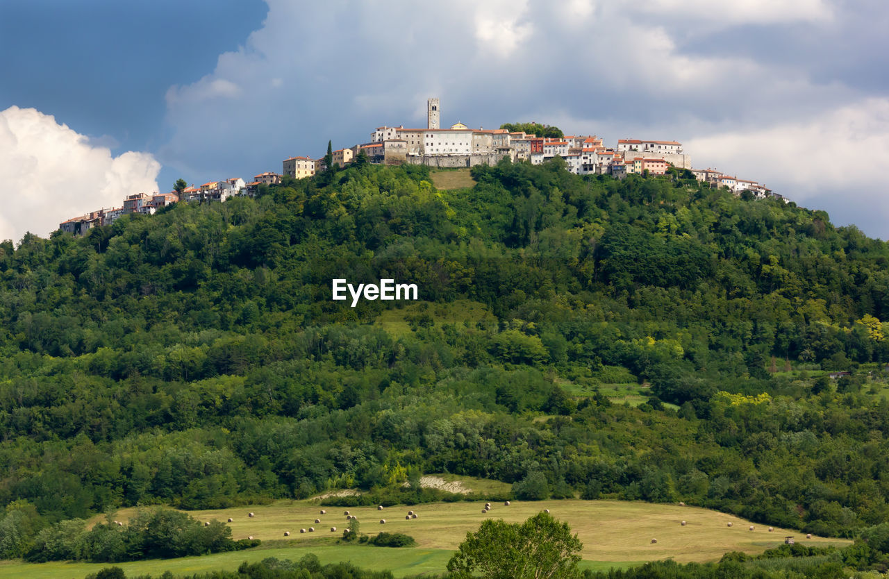 SCENIC VIEW OF HISTORIC BUILDING BY TREES AGAINST SKY