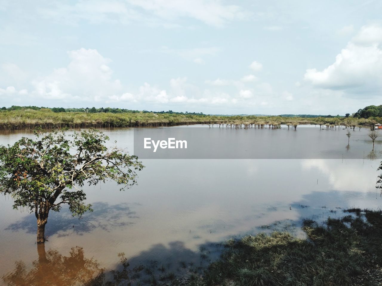 water, reflection, sky, cloud, nature, plant, river, shore, beauty in nature, environment, tree, scenics - nature, wetland, tranquility, body of water, landscape, reservoir, day, land, tranquil scene, outdoors, no people, travel destinations, marsh, non-urban scene, beach, travel, natural environment, tourism, lagoon, idyllic