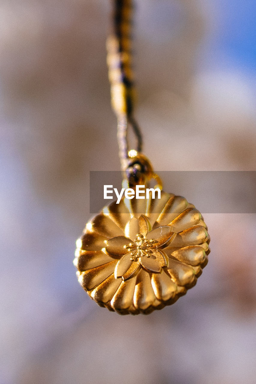 CLOSE-UP OF DEAD PLANT HANGING