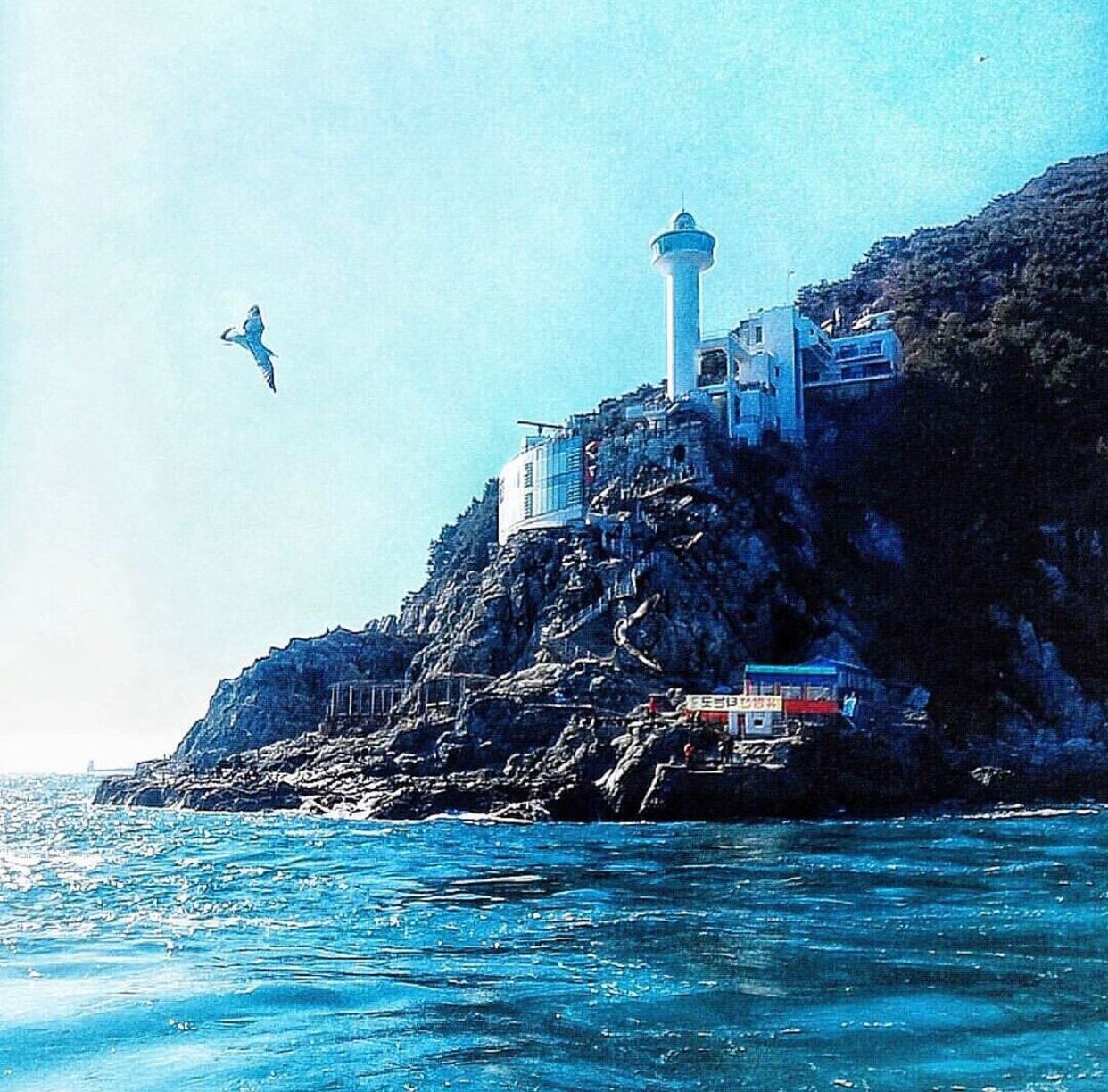 BIRD FLYING OVER SEA AGAINST CLEAR SKY