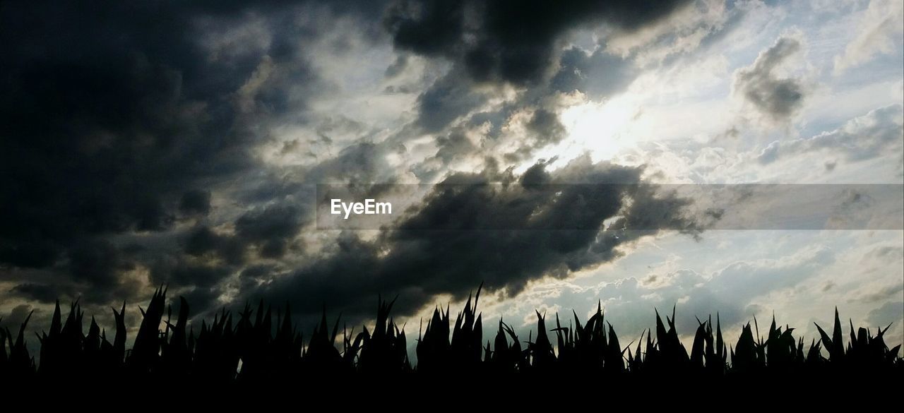 PANORAMIC VIEW OF SILHOUETTE LANDSCAPE AGAINST SKY