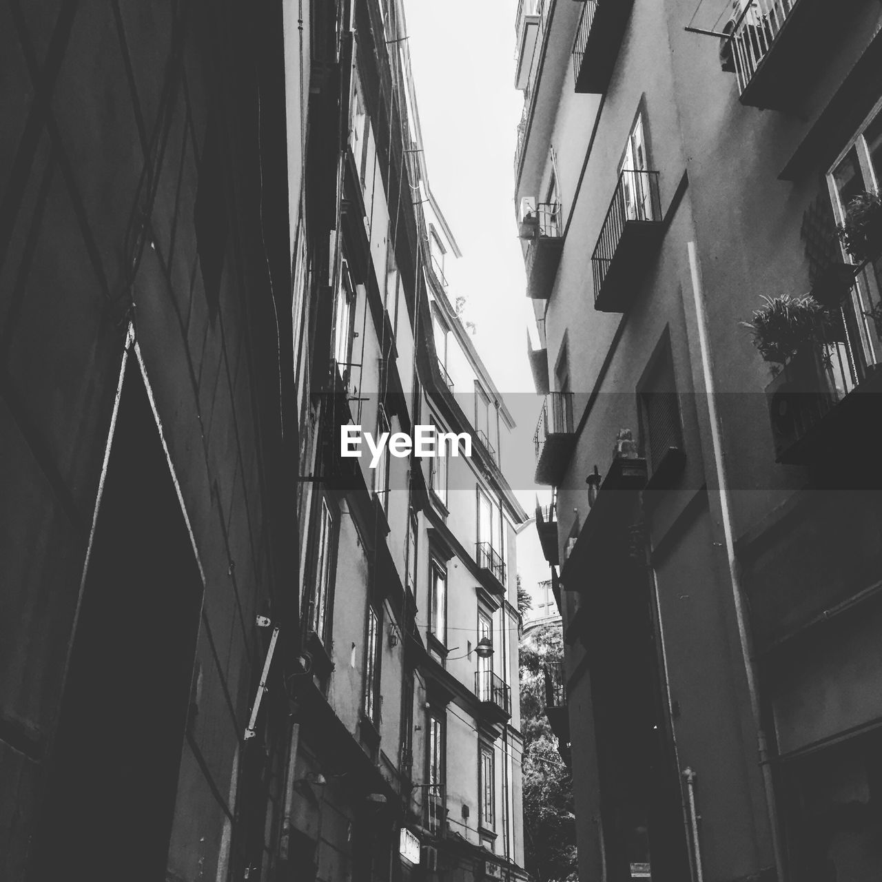 LOW ANGLE VIEW OF BUILDINGS AGAINST SKY