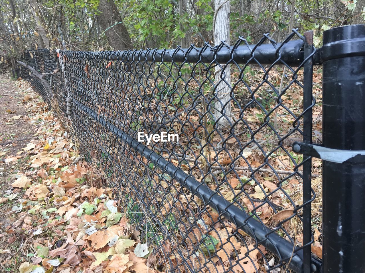 CLOSE-UP OF CHAINLINK FENCE IN PARK