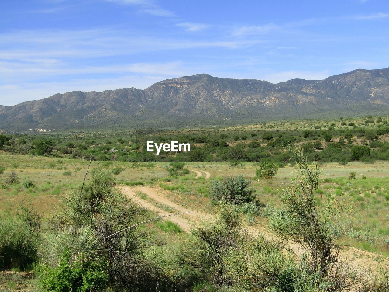 Scenic view of field with dirt road against sky