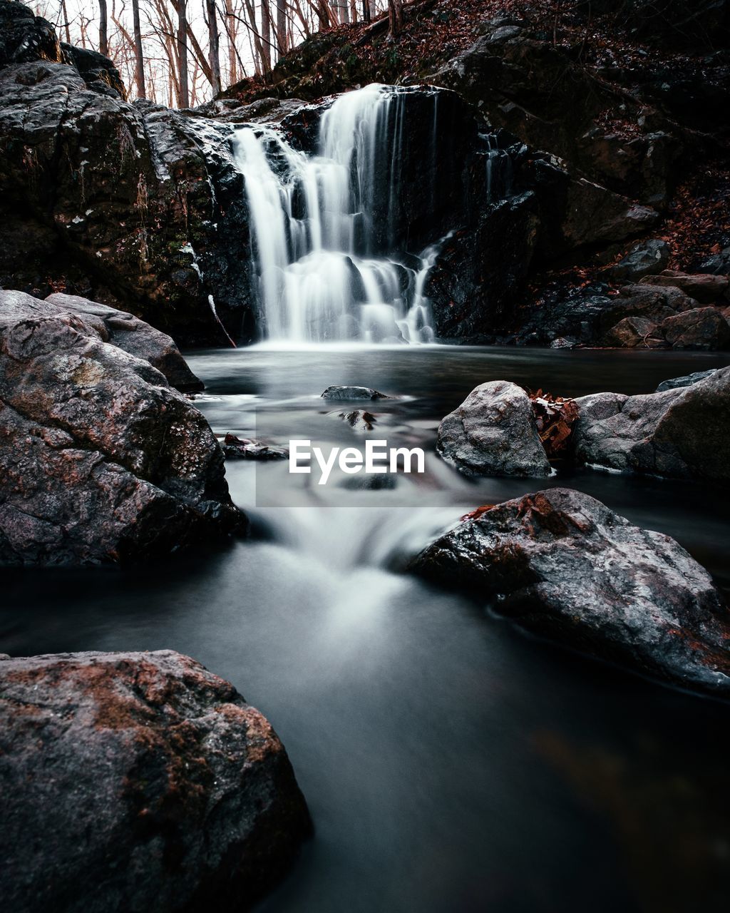 WATER FLOWING THROUGH ROCKS IN FOREST