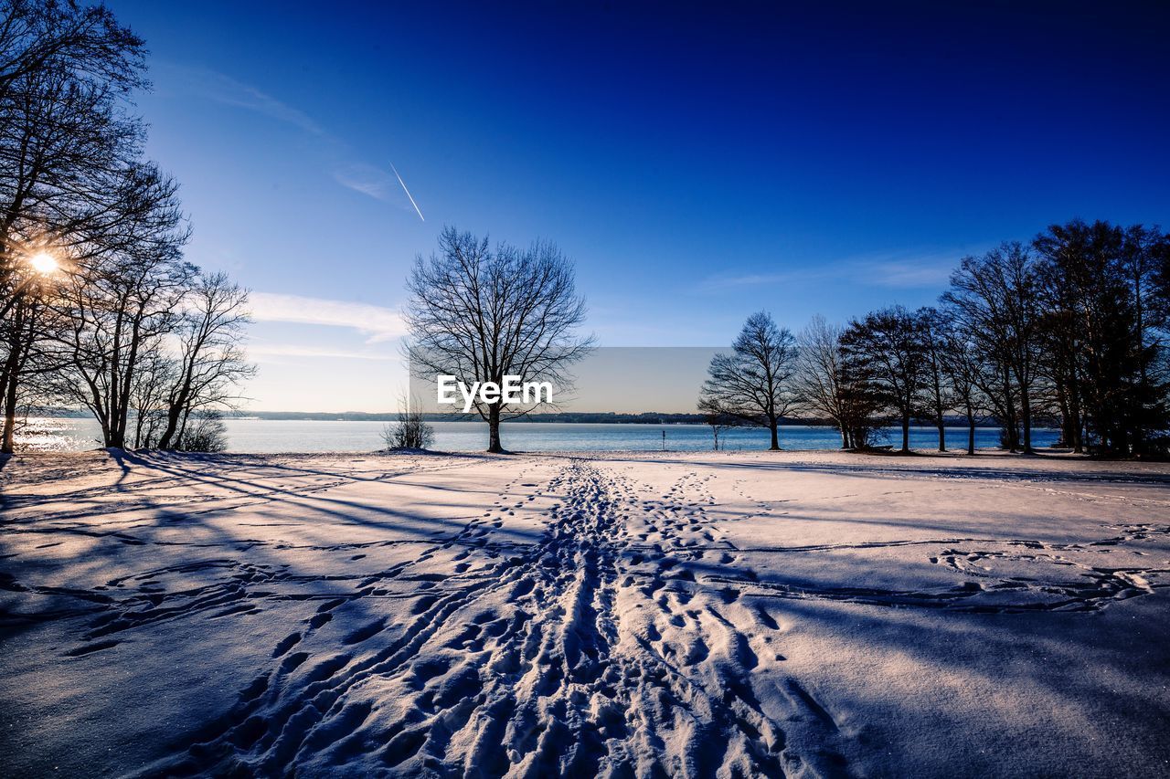 Bare trees on snow covered field against sky