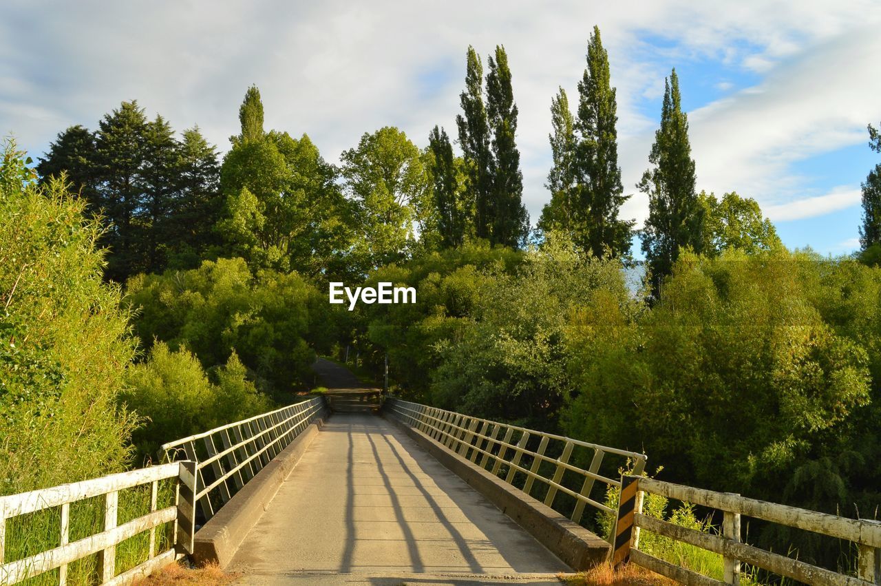 FOOTBRIDGE AGAINST TREES